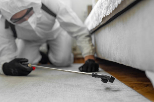 Professional Termite Control technician working in Forsyth, MO