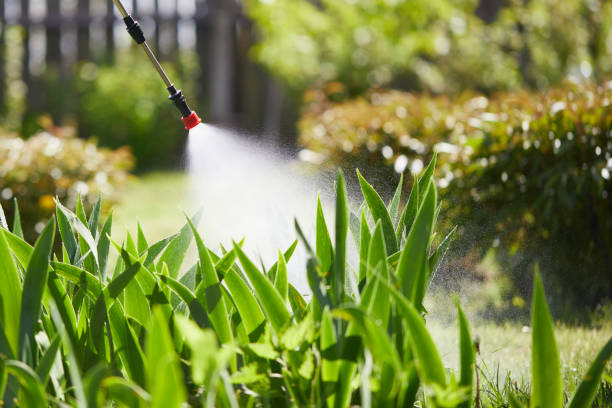 24/7 Emergency Termite Control experts in Forsyth, MO